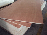 Sell_ Plywood packing for making pallet and wooden box 4x8_